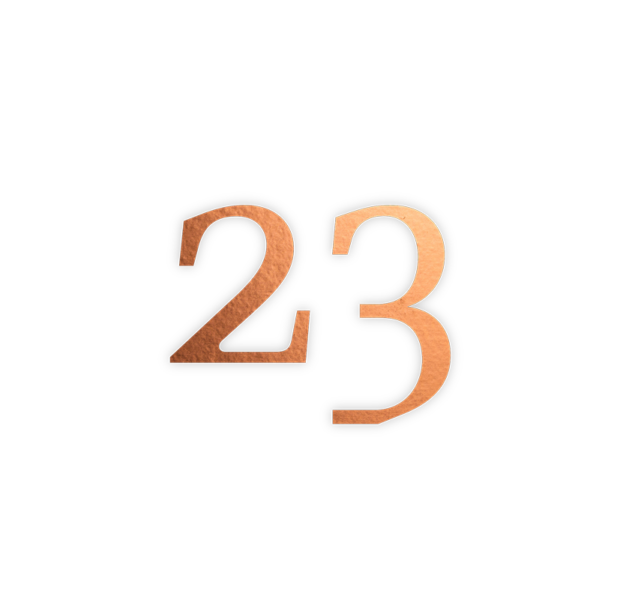 23
